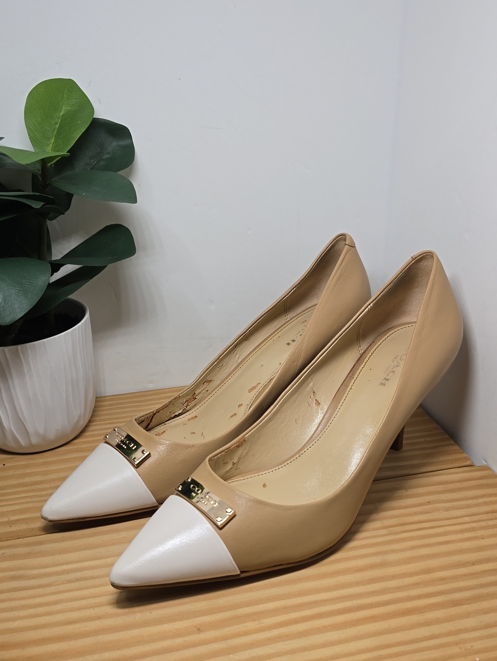 Coach Zen Two-Tone Pointed Toe Pumps - Beige and White